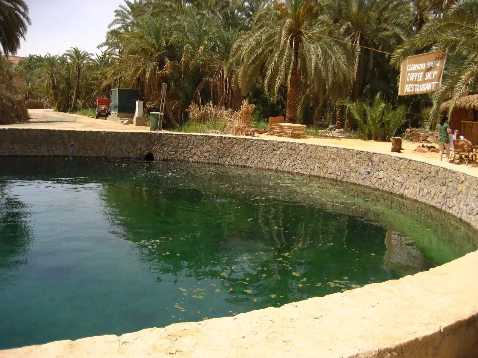 3 Days White Desert & Bahariya Oasis Tour from Cairo